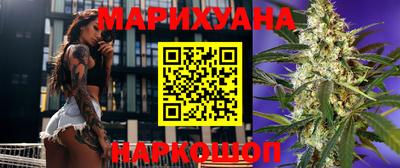 прущие грибы Абакан