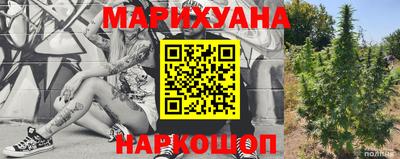 прущие грибы Абакан