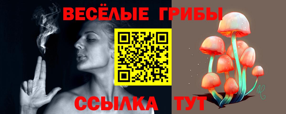 Альметьевск  Псилоцибиновые грибы ЛСД  Вход с VPN 